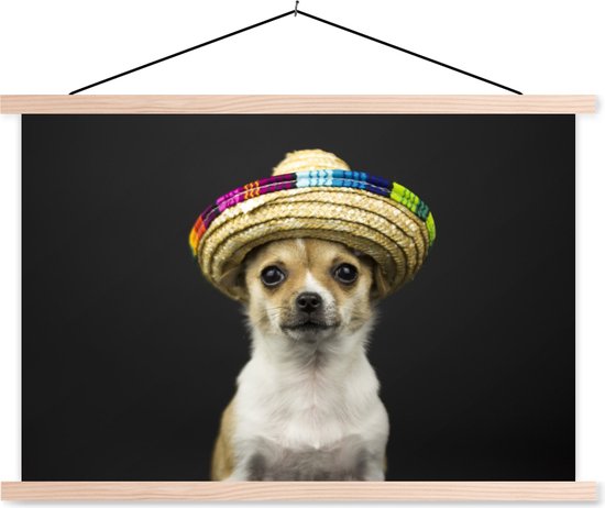 Chien au chapeau mexicain sur fond noir poster textielposter vierge 60x40  cm | bol.com