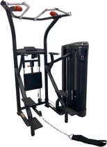 Inspire DUAL Station Chin Up - Commercial Rated