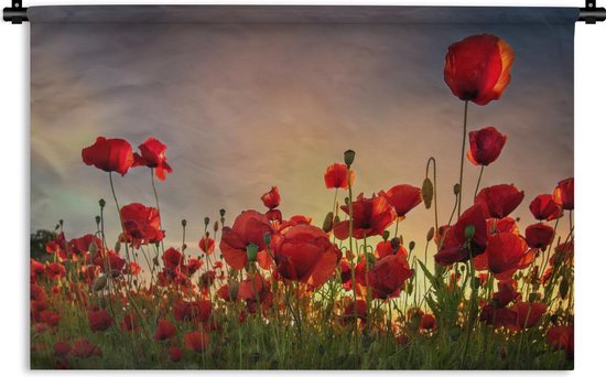 Wandkleed - Wanddoek - Klaprozen - Bloemen - Zonsopkomst - 60x40 cm - Wandtapijt