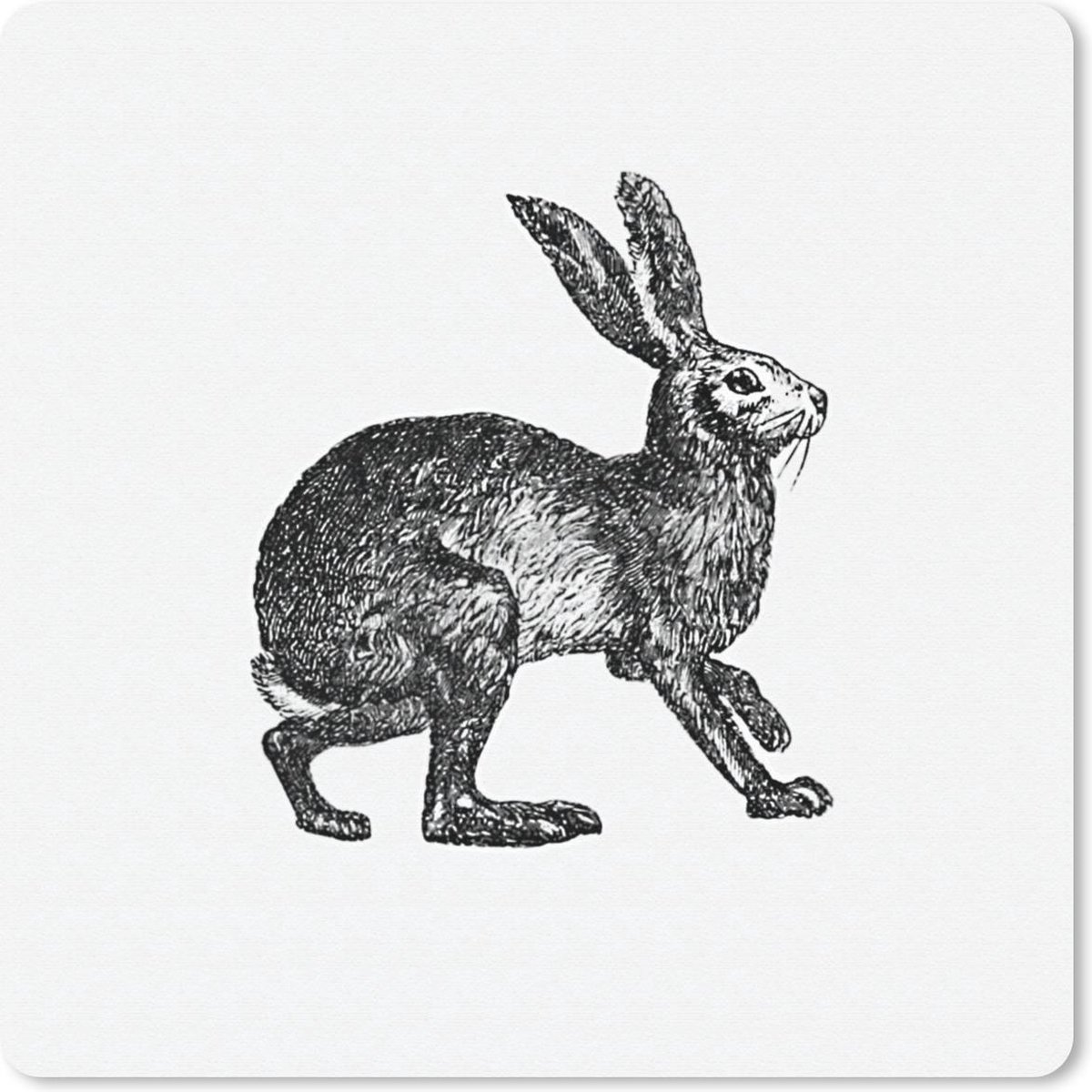 Muismat 20x20 cm - Mousepad Vintage - Haas - Zwart - Wit - Muismatten