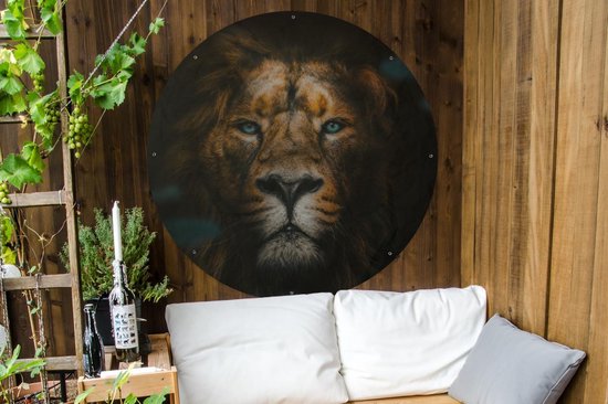 Animaux du Cercle de Jardin - Lion - Prédateur - 120x120 cm - Affiche de Jardin Ronde - Extérieur - XXL