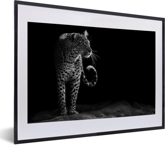Affiche avec cadre Léopard - Zwart - Wit - 40x30 cm