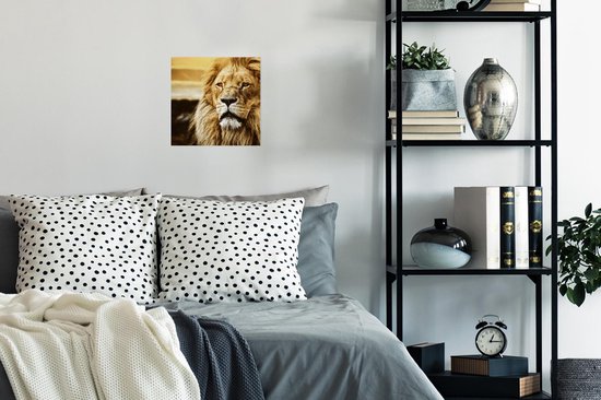 Affiche Lions - Profil - Coucher de soleil - 30x30 cm