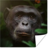 Poster Animaux - Singe - Jungle - 100x100 cm XXL