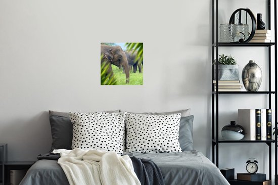 Stickers muraux - Film autocollant - Éléphant - Palmier - Animaux - 30x30 cm - Film adhésif - Stickers muraux chambre enfant - Papier peint autocollant - Papier peint autocollant - Film autocollant