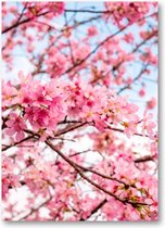 Roze Bloesem met een Blauwe Lucht - 50x70 Poster Staand - Besteposter - Landschap - Natuur - Bloemen