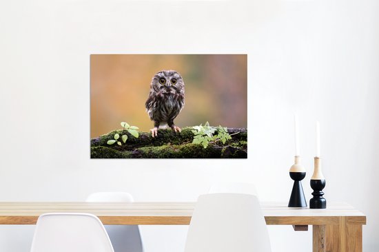 Petit hibou Aluminium 90x60 cm - Tirage photo sur aluminium (décoration murale en métal)