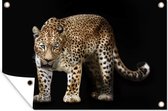 Muurdecoratie Luipaard - Wild - Zwart - 180x120 cm - Tuinposter - Tuindoek - Buitenposter