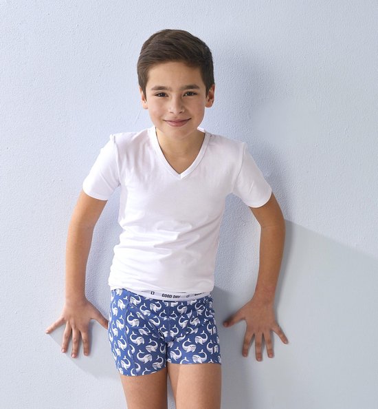 Little Label T-shirt Garçons Wit - Col V- 3 pièces - Ensemble discount - Taille 134-140 - Katoen BIO doux