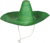 sombrero hoed 50 cm stro groen