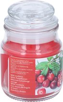 Arti Casa Geurkaars Wild Cranberry 9 X 6 Cm Glas/wax Rood