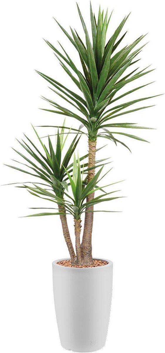 HTT Decorations Kunstplant Yucca in Genesis rond H200 cm Wit