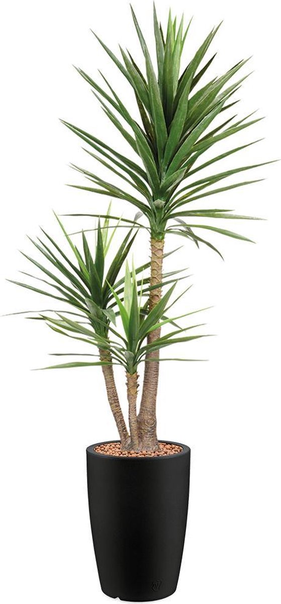 HTT Decorations Kunstplant Yucca in Genesis rond antraciet H200 cm - HTT Decorations kunstplanten