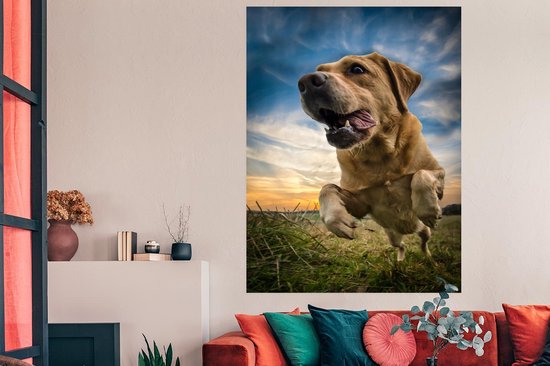 Ciel coloré au dessus de ce Poster Labrador Retriever 120x180 cm - Tirage photo sur Poster (décoration murale salon / chambre) / Poster Animaux domestiques XXL / Groot format!