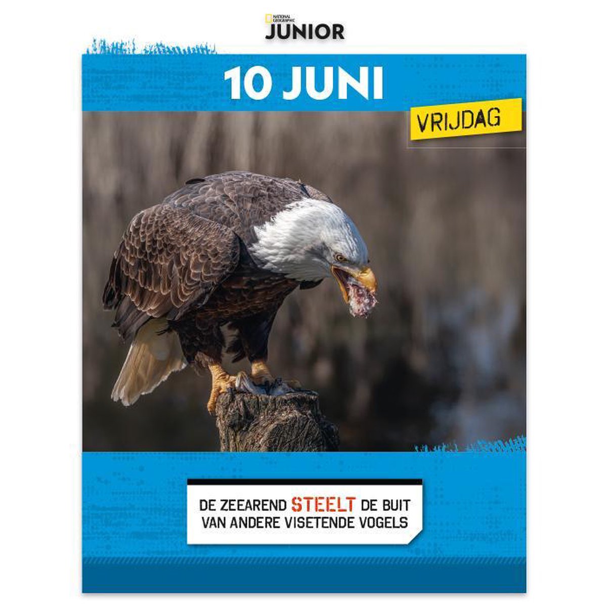 National Geographic Junior Scheurkalender 2022 | bol.com