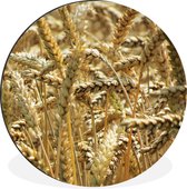 Cercle mural - Aluminium - Épeautre - Grain - Blé - ⌀ 120 cm XXL