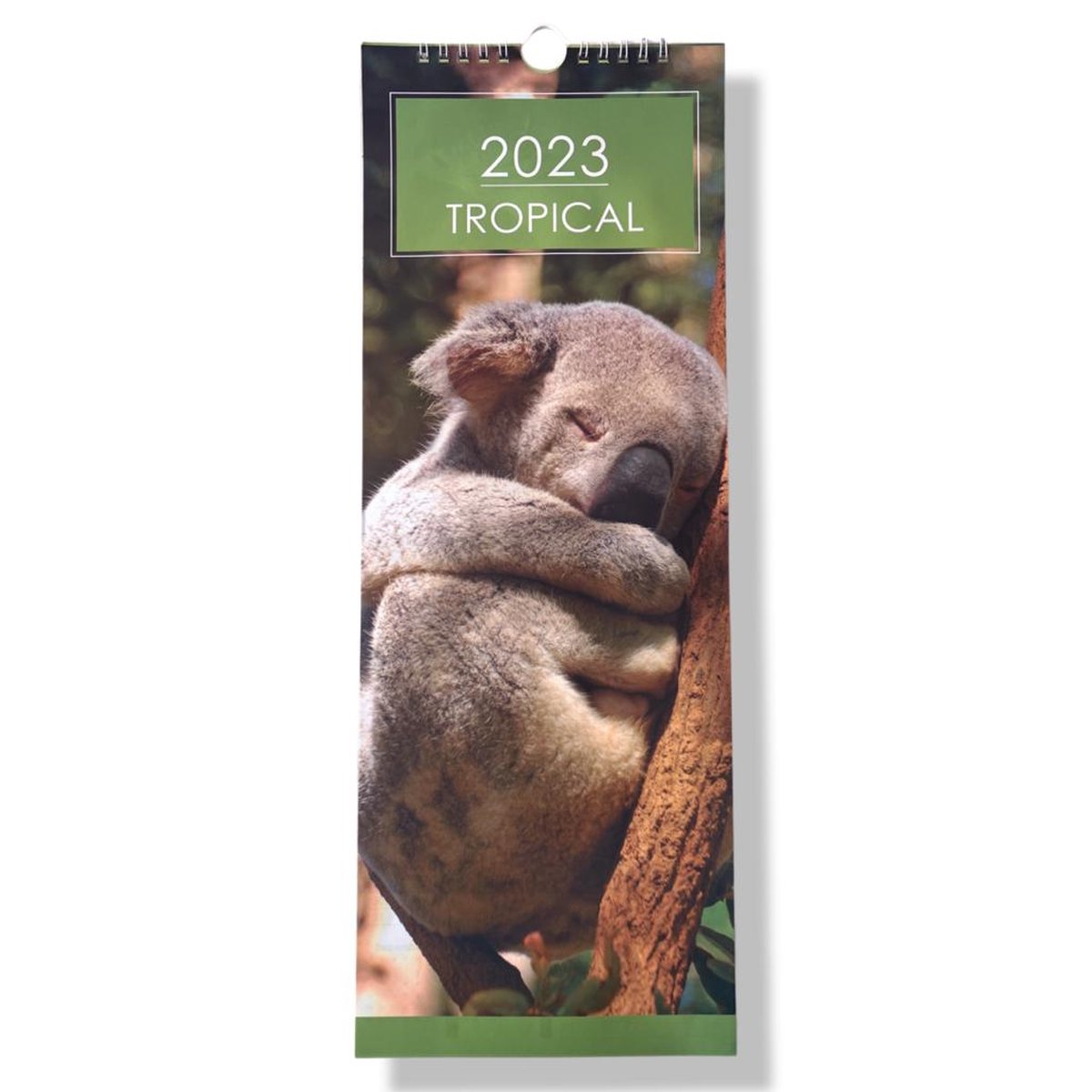 Tropische dieren kalender - 2023 - Maandkalender - 15.5x42cm