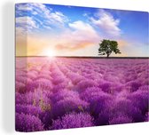 OneMillionCanvasses - Canvas - Schilderij - Lavendel - Bloemen - Boom - Zon - Landschap - Schilderijen op canvas - Foto op canvas - 120x90 cm - Wanddecoratie