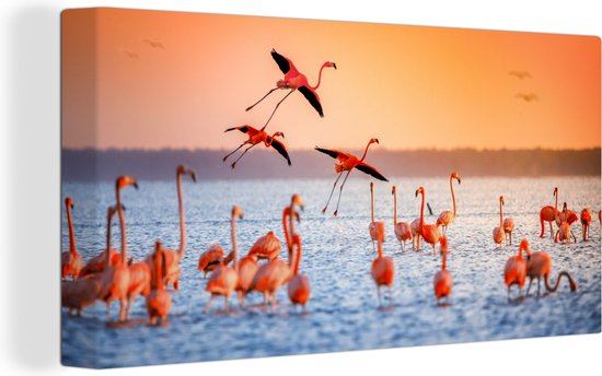 Canvas - Schilderij - Vogel - Flamingo - Zonsondergang - Water - Tropisch - Foto op canvas - 40x20 cm - Canvas vogels - Muurdecoratie