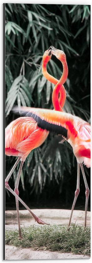 WallClassics - Dibond - Dansende Flamingo's - 20x60 cm Foto op Aluminium (Met Ophangsysteem)