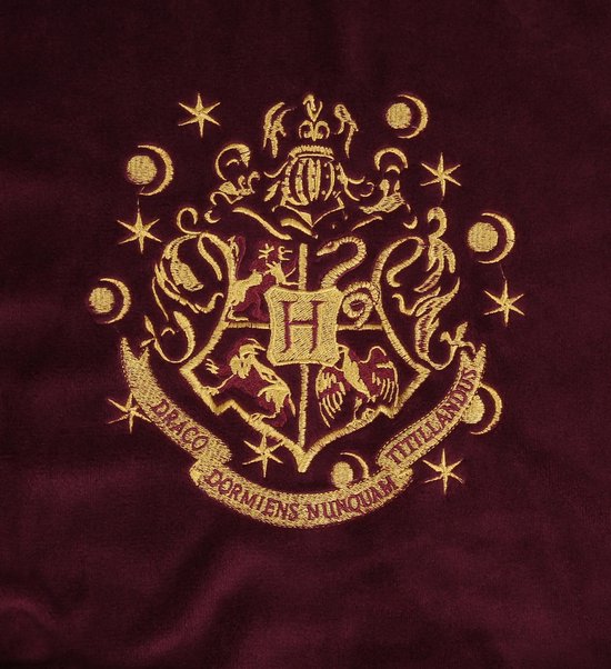HARRY POTTER Poudlard - Badjas Homme / SM