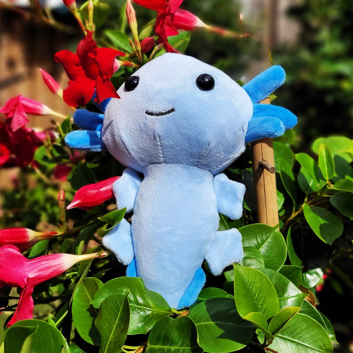 Axolotl Knuffel - Axolotl Plushy - 17cm - Blauw