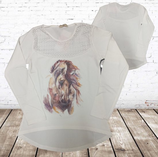 Shirt met bruin paard -Papillon-110/116-Longsleeves meisjes