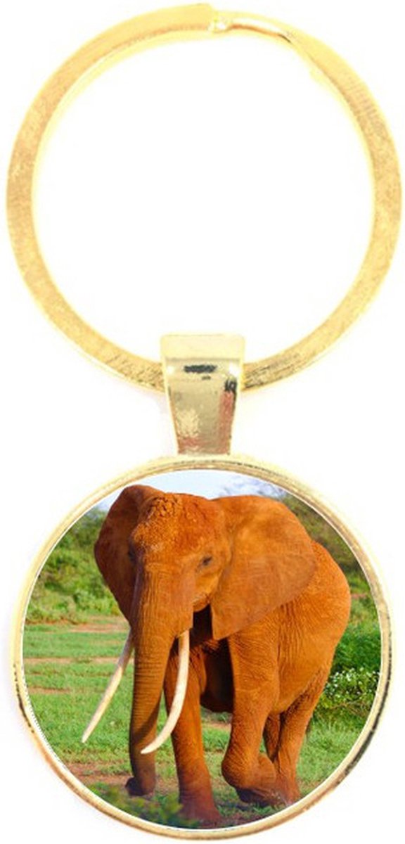 Sleutelhanger Glas - Olifant