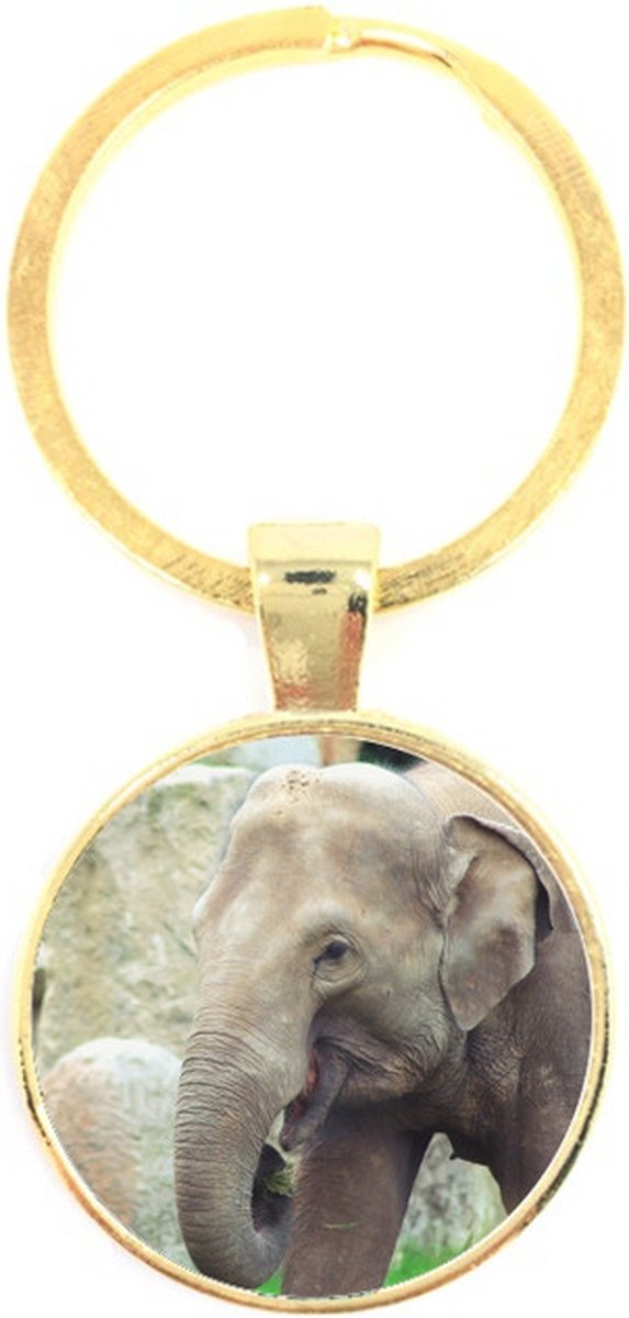 Sleutelhanger Glas - Olifant