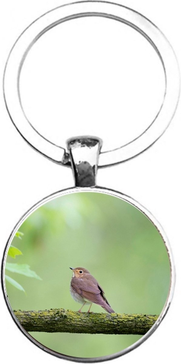 Sleutelhanger Glas - Vogel