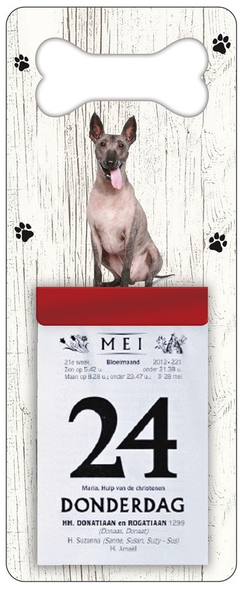 Scheurkalender 2026 Hond: Mexicaanse Naakthond