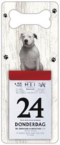 Scheurkalender 2024 Hond: Dogo Argentino