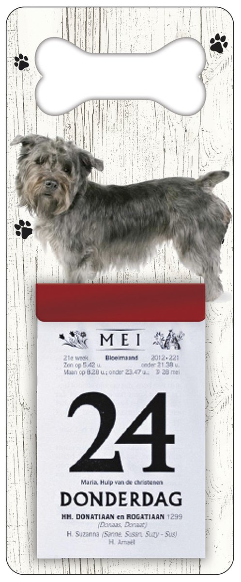 Scheurkalender 2026 Hond: Imaal Terrier