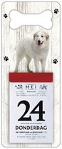 Scheurkalender 2024 Hond: Pyrineese Berghond