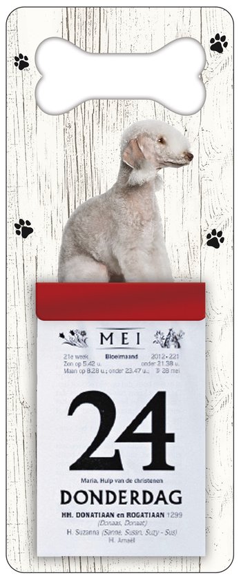 Scheurkalender 2024 Hond: Bedlington Terier