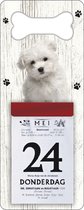 Scheurkalender 2024 Hond: Malteser
