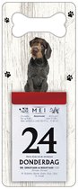 Scheurkalender 2024 Hond: Duitse Staande Hond Draadhaar