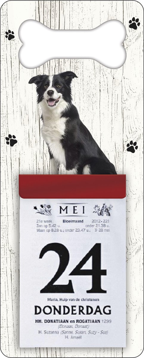 Scheurkalender 2026 Hond: Bordercollie