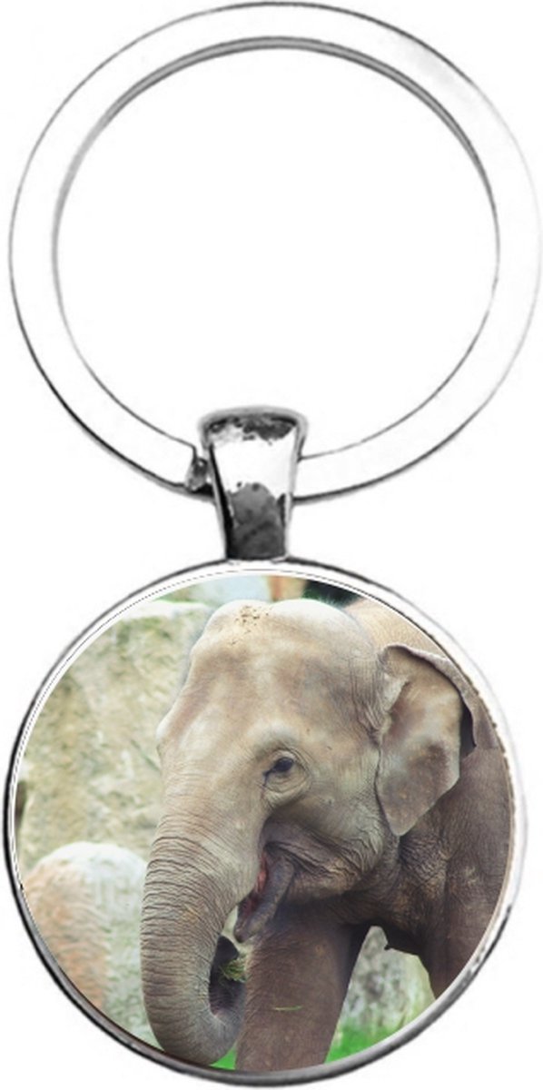 Sleutelhanger Glas - Olifant