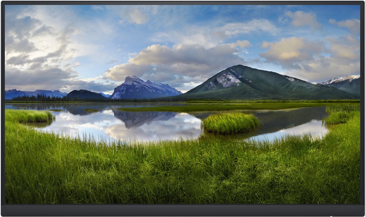 DELL P2222H_WOST 54,6 cm (21.5") 1920 x 1080 Pixels Full HD LCD Zwart