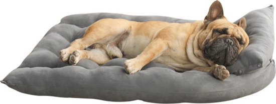Dog's Companion® Binnenbed hondenkussen medium