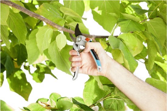 GARDENA - Comfort Alu B/L Bypass - Snoeischaar - √ò 25mm