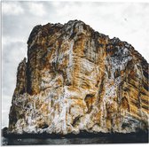 WallClassics - Acrylglas - Grote Bruine Rots op het Water - 50x50 cm Foto op Acrylglas (Met Ophangsysteem)