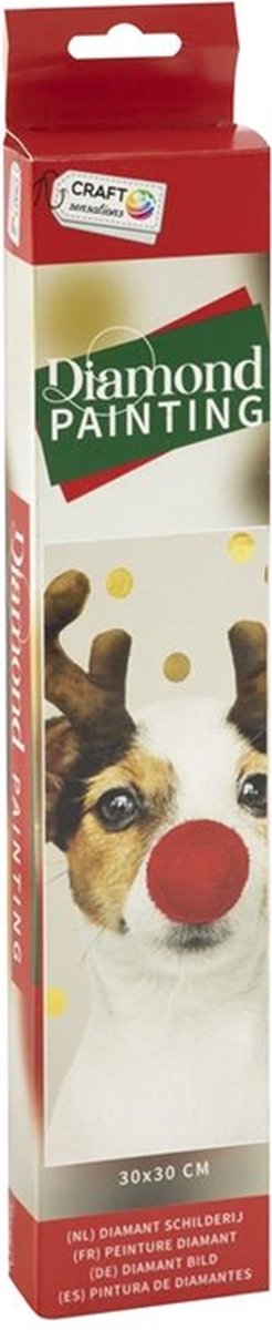 Craft Sensations - Diamond Painting - Kerst - 30x30cm - Volwassen/Kind.