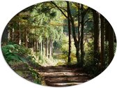 WallClassics - Dibond Ovaal - Zandweg in het Bos met Mooie Lichtinval - 80x60 cm Foto op Ovaal (Met Ophangsysteem)