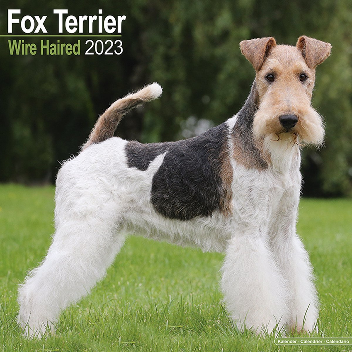 Fox Terrier Ruwhaar Kalender 2023