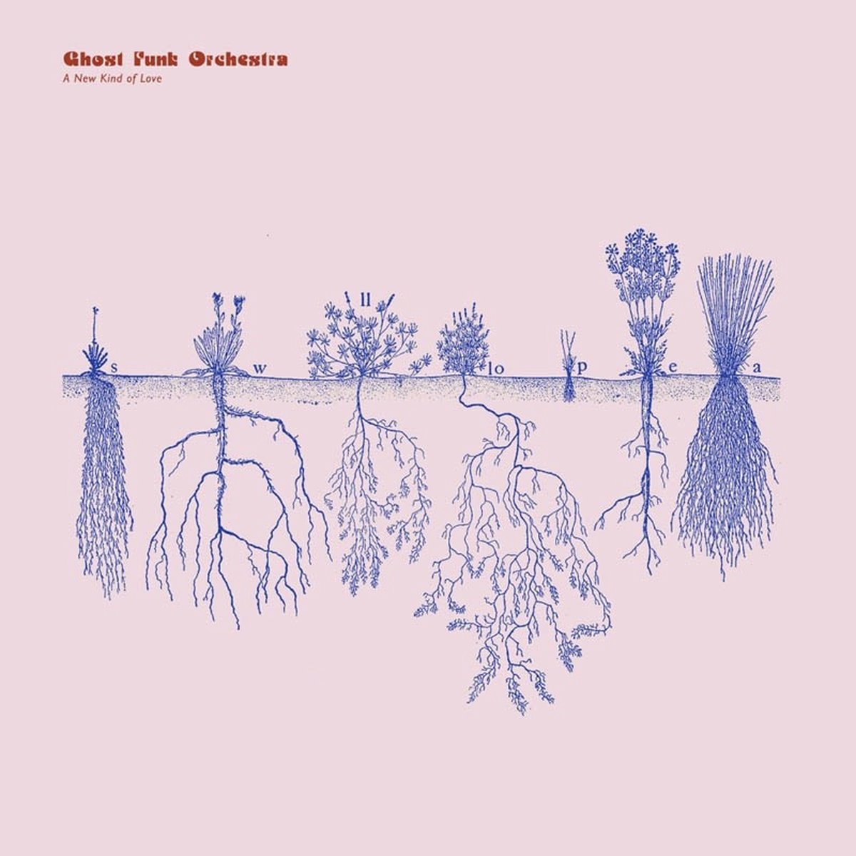 Ghost Funk Orchestra - A New Kind Of Love (LP)