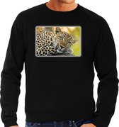 Dieren sweater met jaguars foto - zwart - voor heren - natuur / luipaard cadeau trui - kleding / sweat shirt XXL
