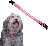 Dutchwide Lichtgevende Halsband Hond - Extra Sterk - M 37 cm tot 46 cm - Hondenhalsband - Klikhalsband - Verstelbaar - Reflecterend
