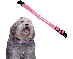Dutchwide Lichtgevende Halsband Hond - Extra Sterk - M 37 cm tot 46 cm - Hondenhalsband - Klikhalsband - Verstelbaar - Reflecterend